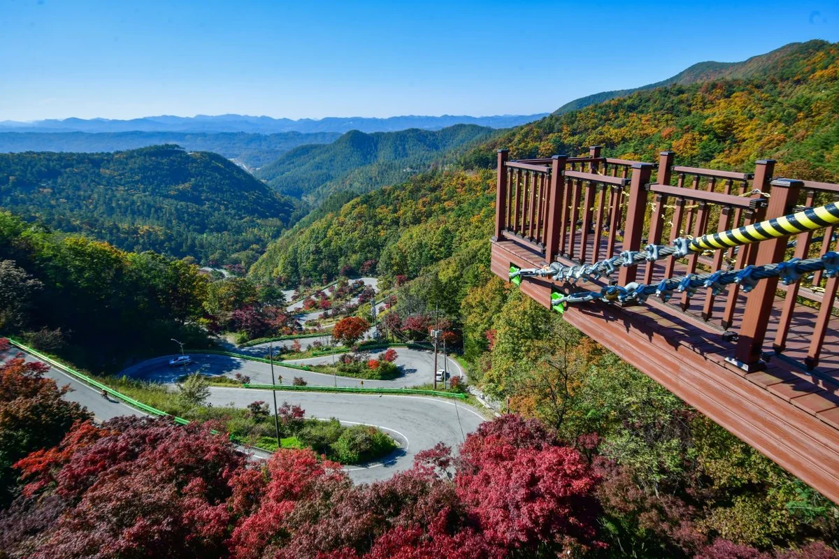속리산 숲체험휴양마을, 자연 속 온전한 휴식 - 보은군 여행