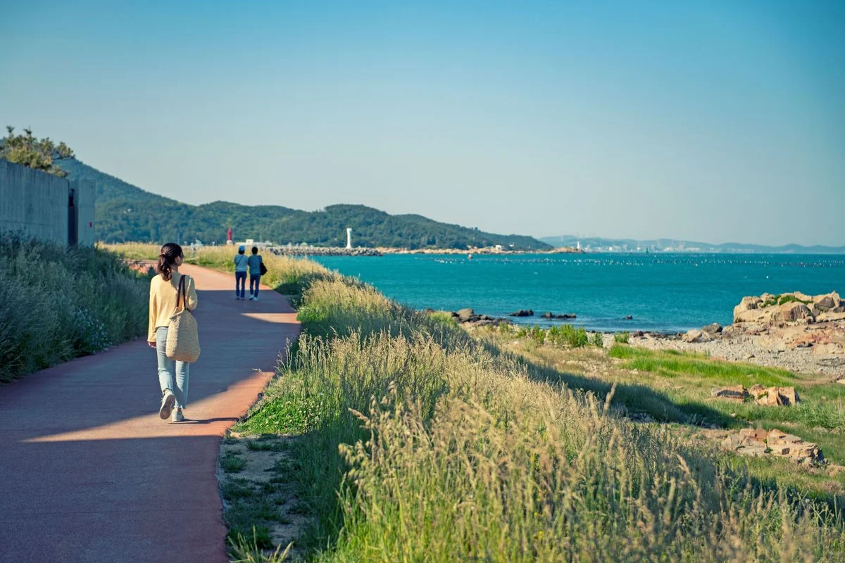 안산 캠핑장 추천 베스트 5 - 안산캠핑 여행