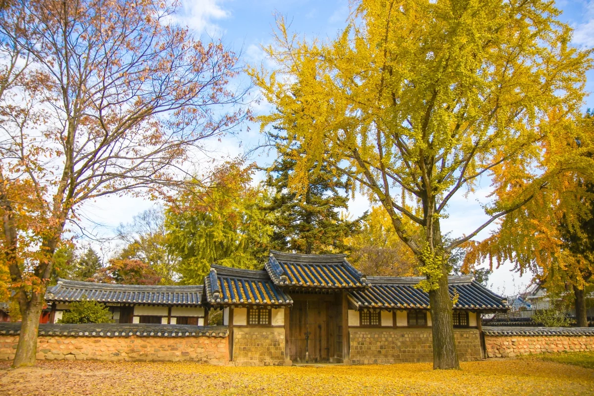전주난장 - 전주여행 여행