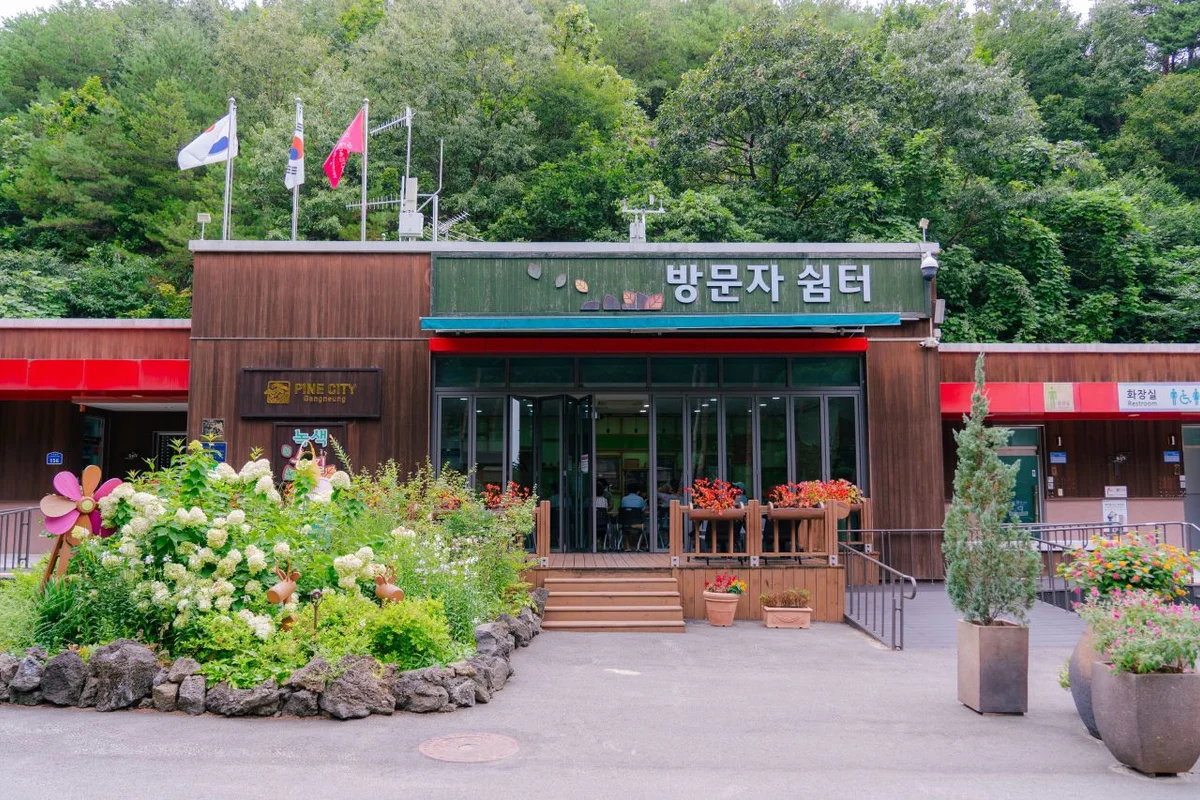 장생포고래문화마을 방문 후기 (출처 : 한국관광공사)