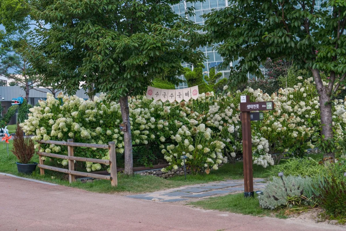 휴심정 - 광주천수국 여행