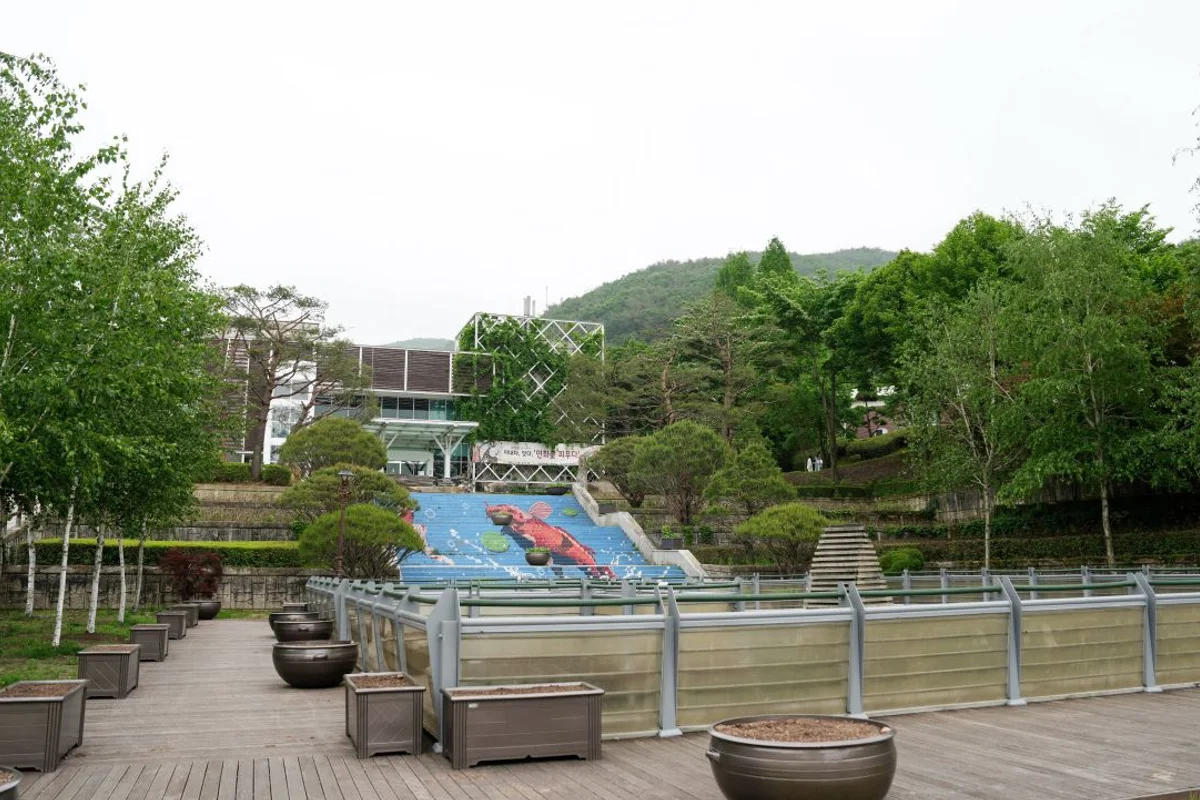 청주 부엉이소풍 - 충북여행 여행