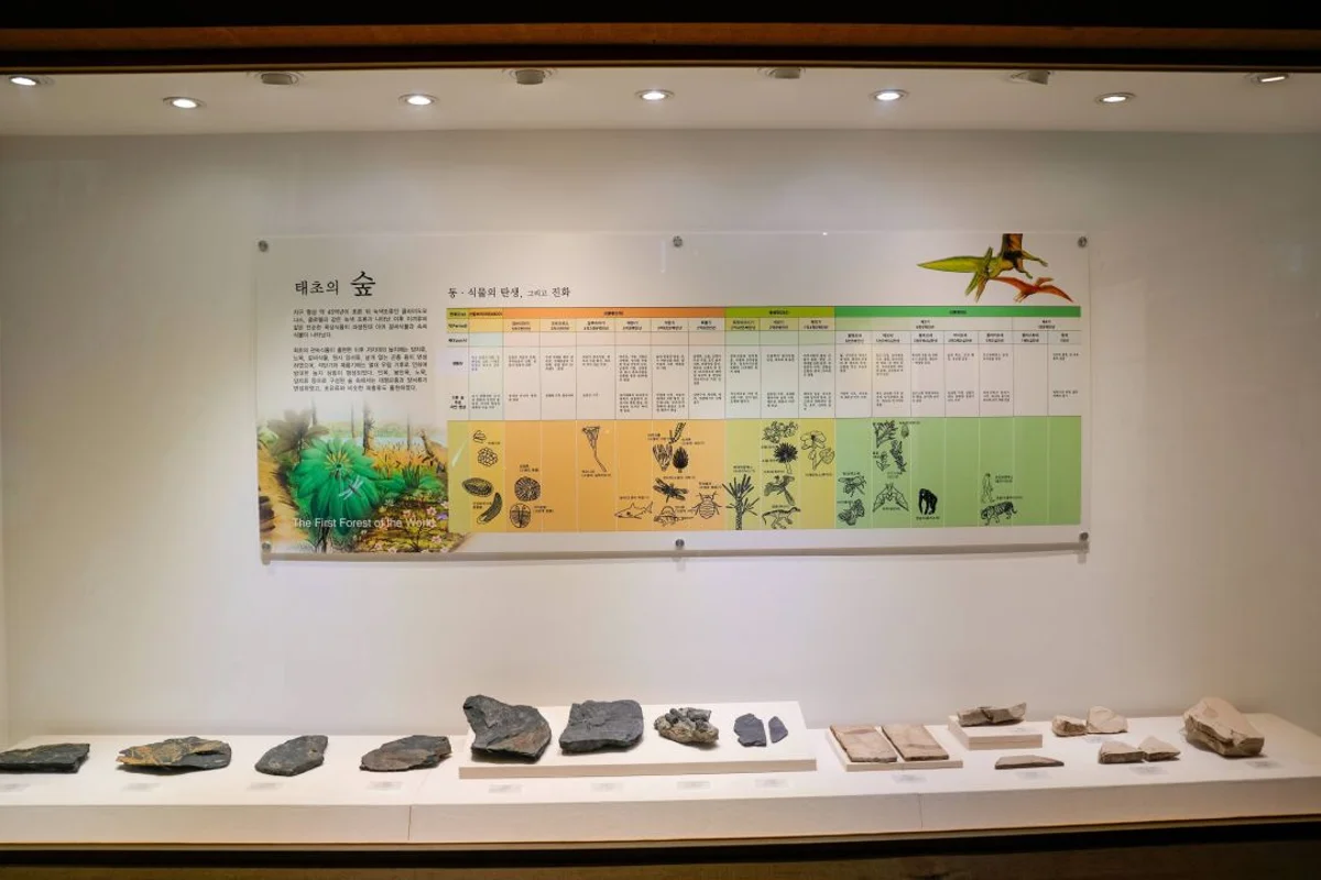 시냇가캠핑장 - 충북여행 여행