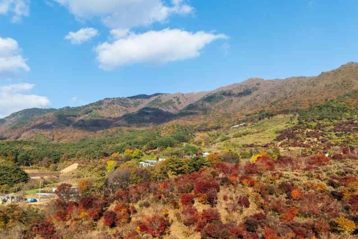 보령 혼자 여행, 대천해수욕장의 낭만 - 보령혼자여행 여행