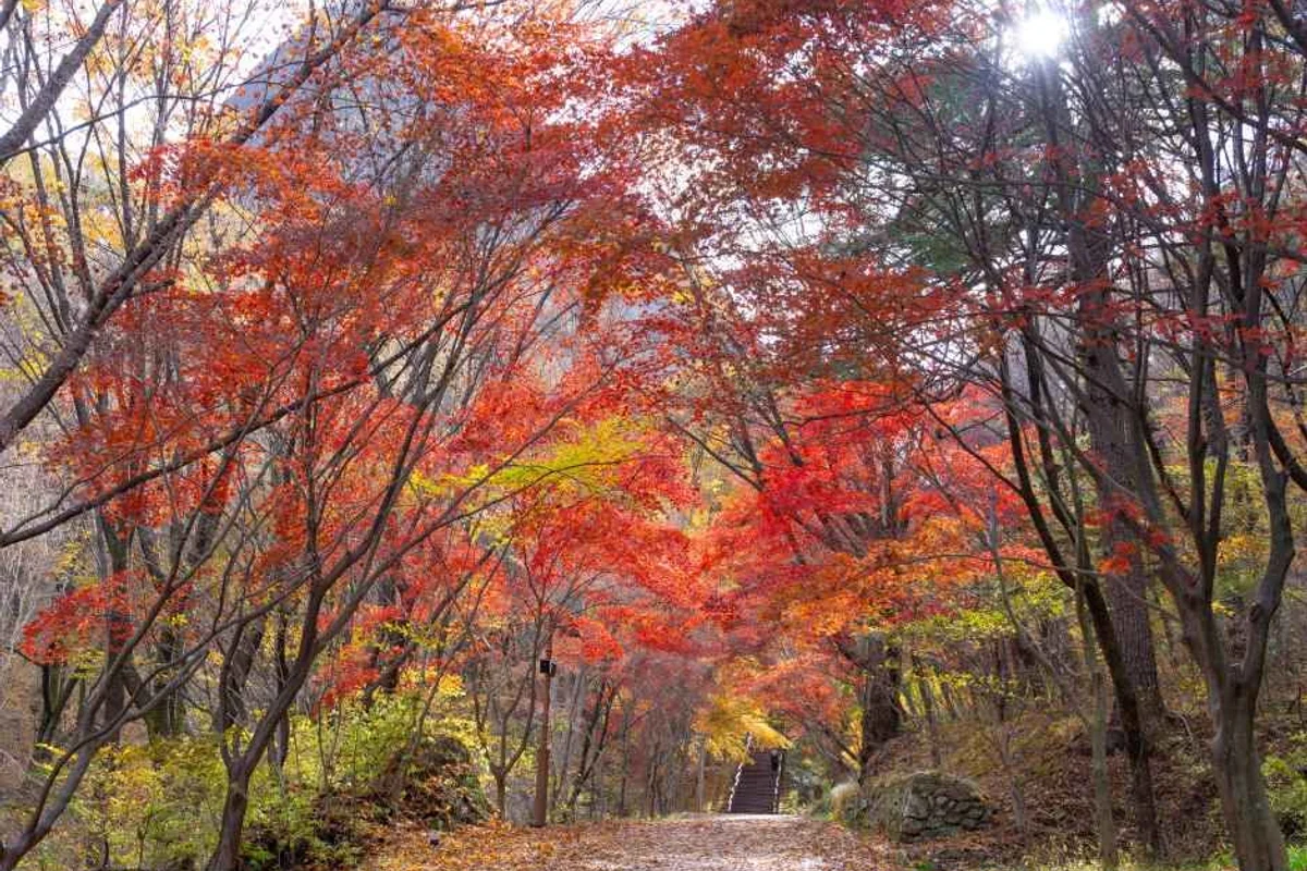 진안 근교여행 마이산 - 진안여행 여행