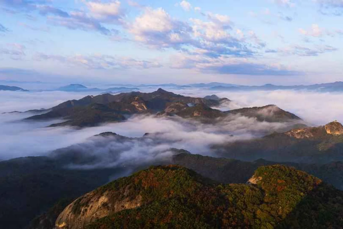 진안 꽃잔디동산 - 진안여행 여행