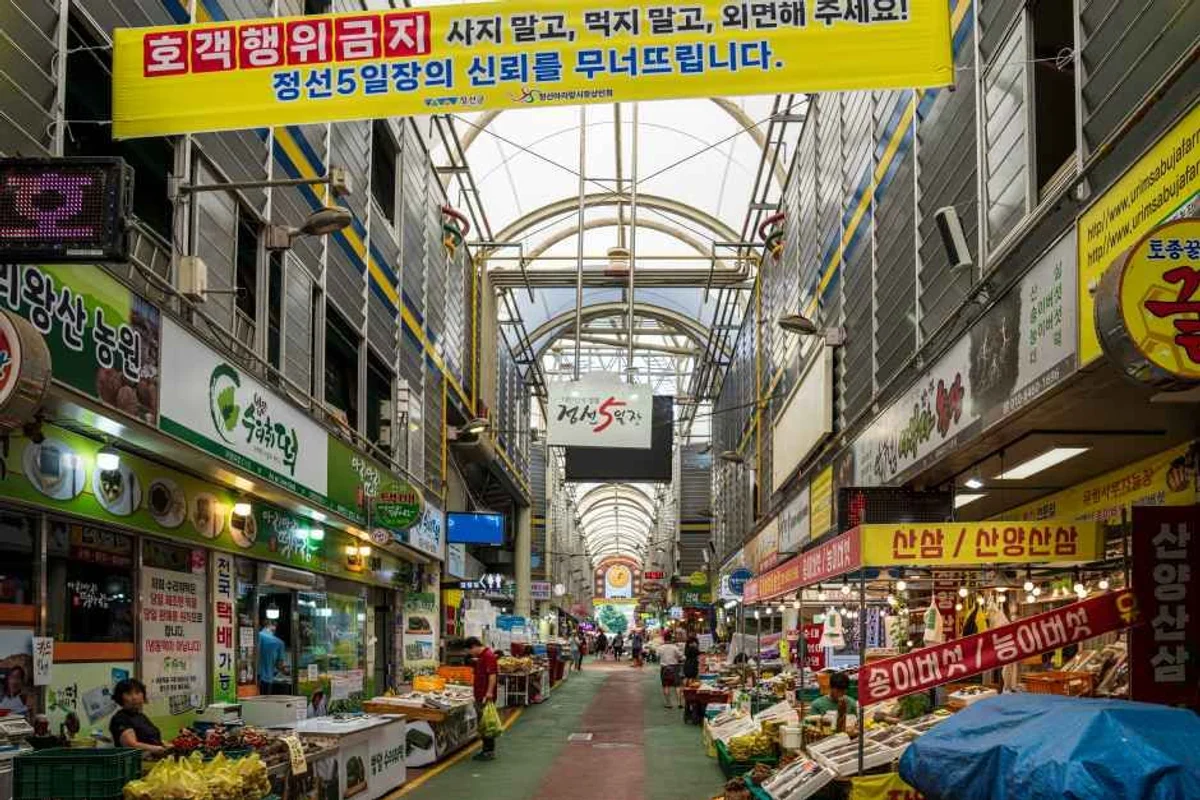울산대공원 장미축제 - 울산여행 여행