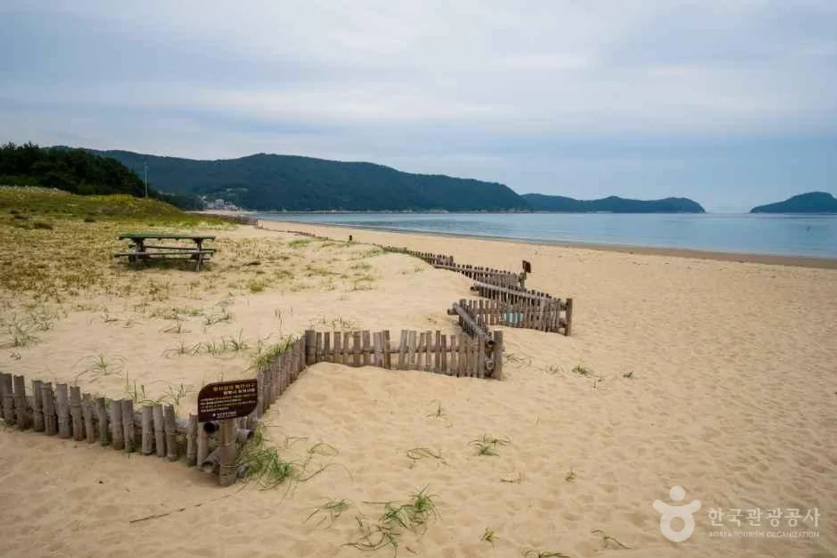 완도 벚꽃 (출처 : 한국관광공사)