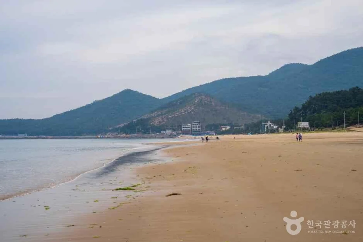 신흥사 완도 템플스테이 - 완도여행 여행
