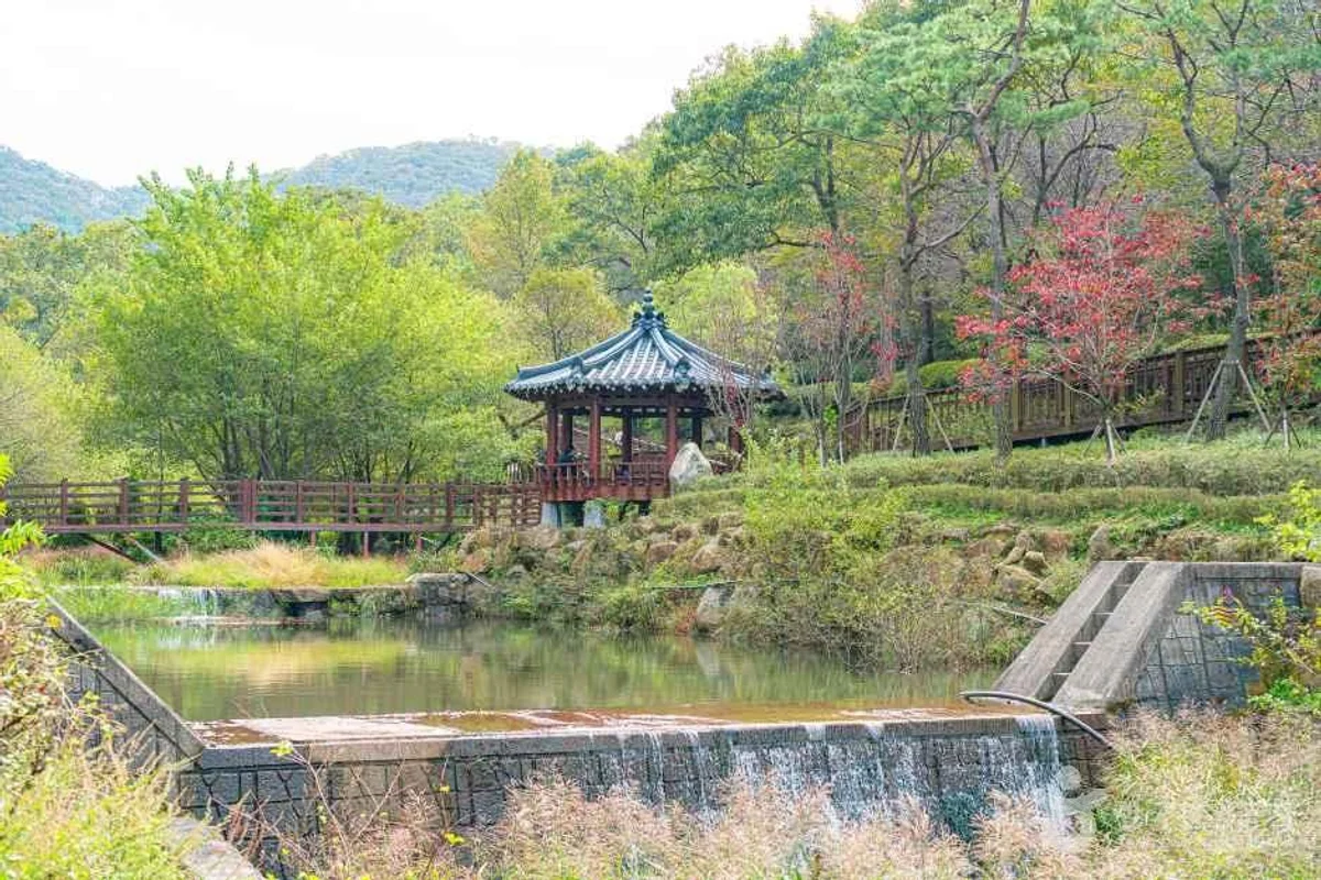 시골농부농원 블루베리 체험농장 치유교육농장 - 인천여행 여행