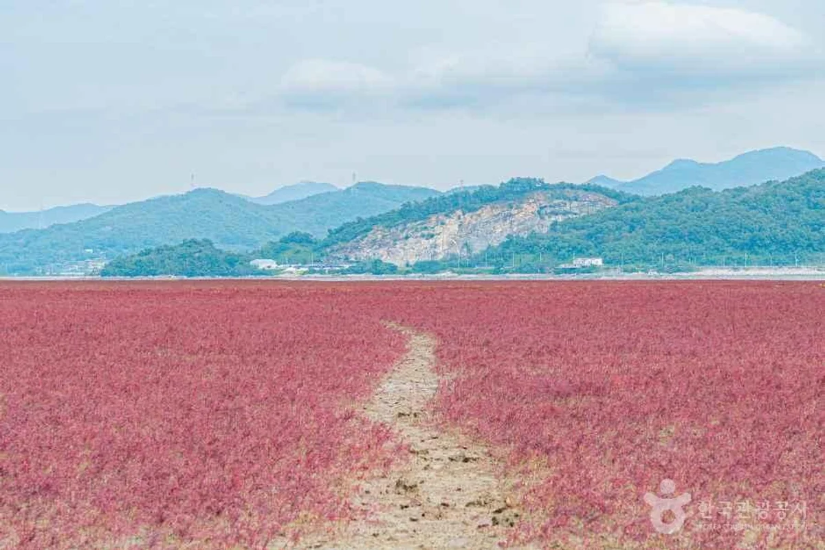 원더박스 - 인천여행 여행
