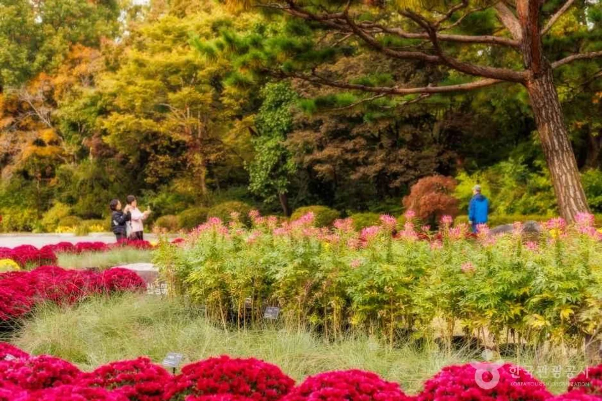 오산버드파크 - 오산여행 여행