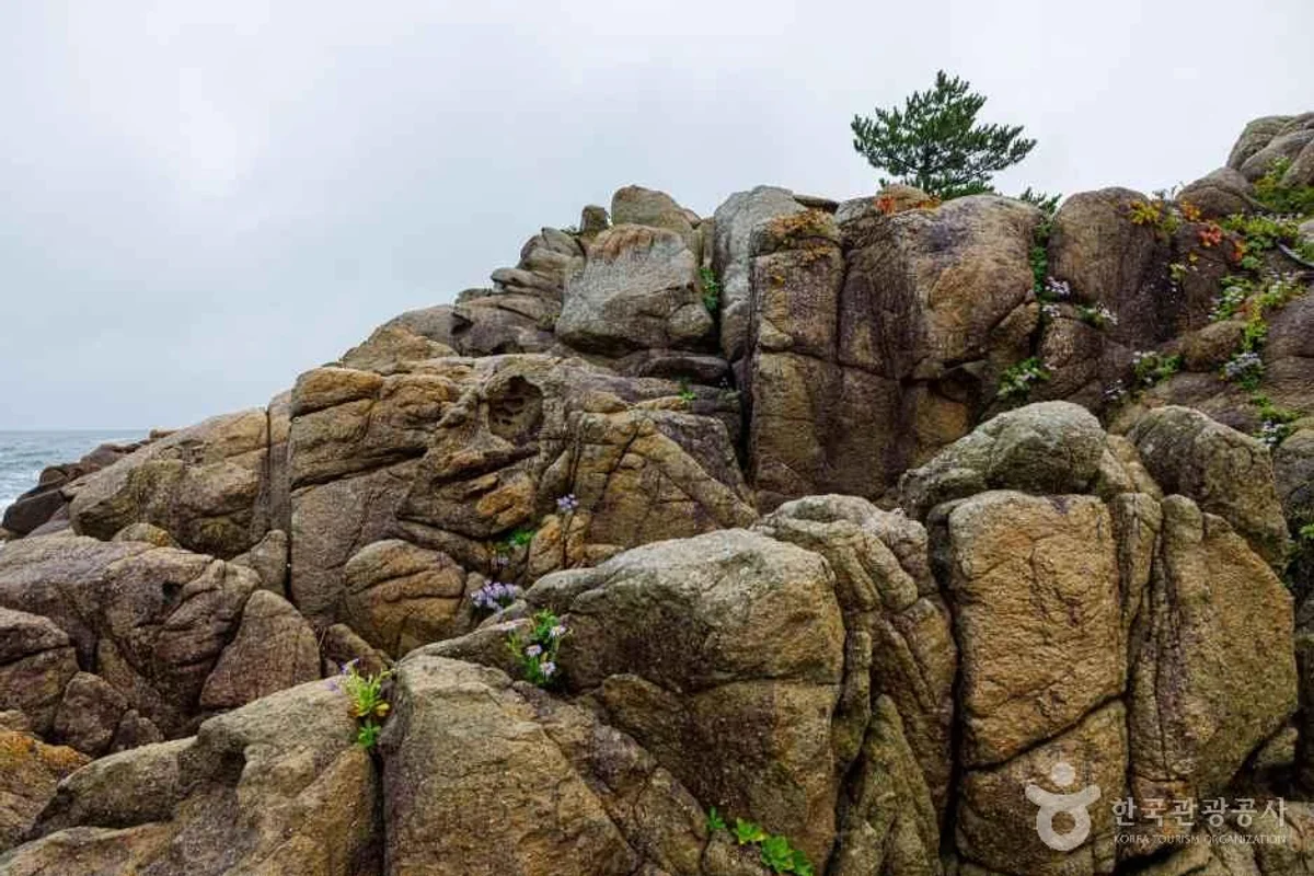 고성군 아이와 가볼만한곳 (출처 : 한국관광공사)