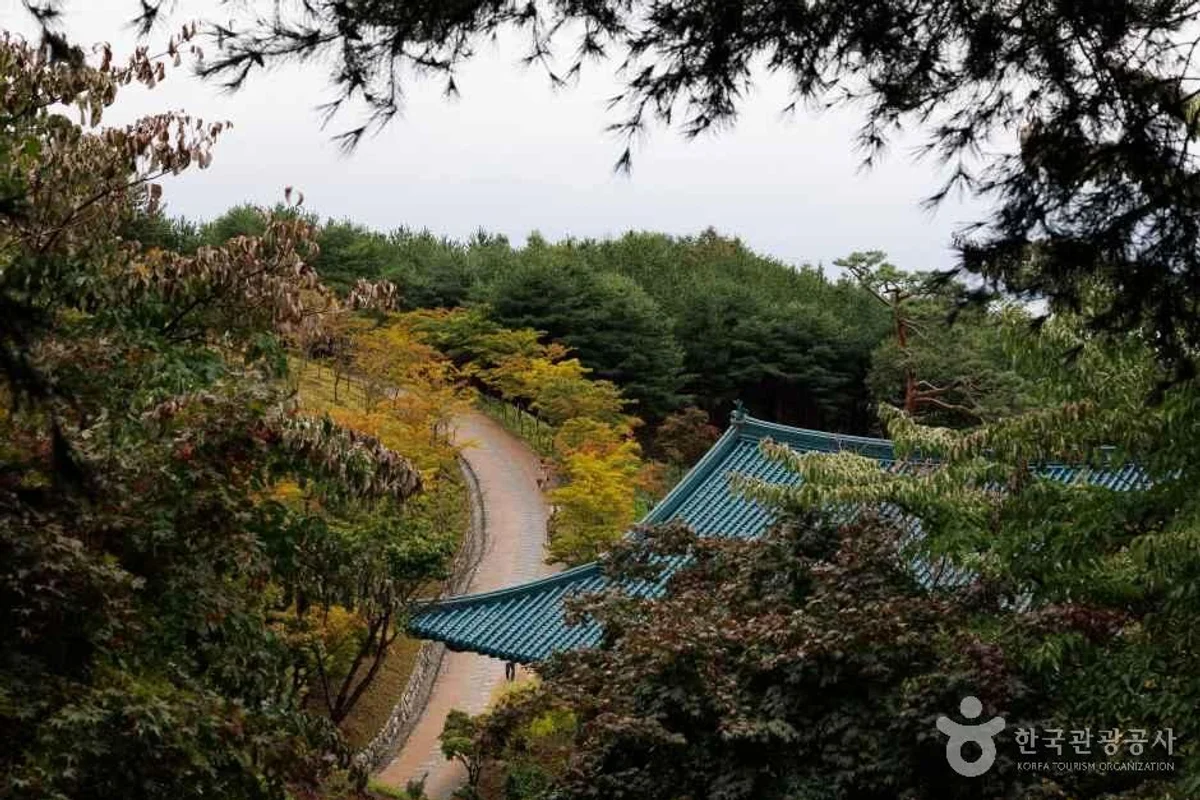 낙산사 템플스테이 - 낙산사 여행