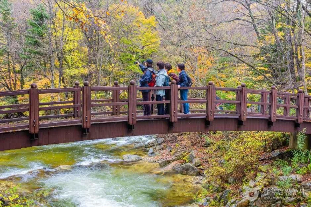 휘닉스 파크 블루캐니언 - 평창여행 여행