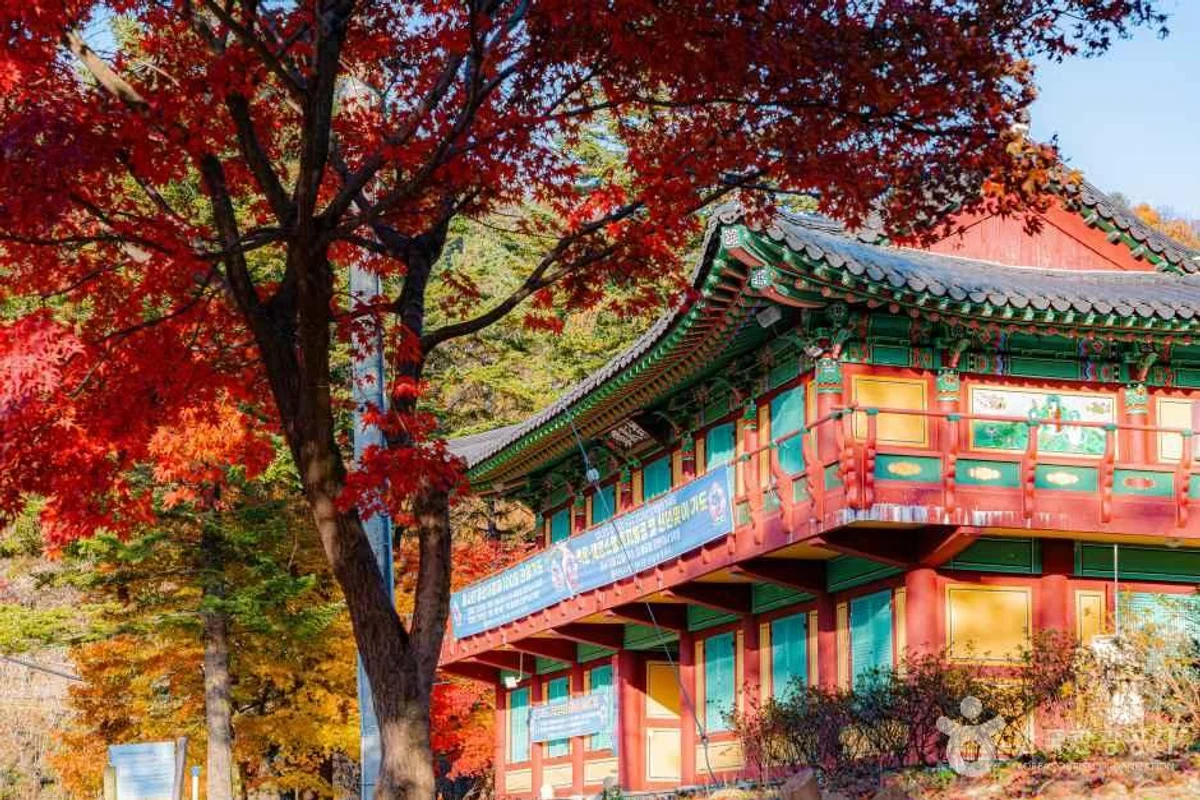 두리랜드 - 양주시테마파크 여행