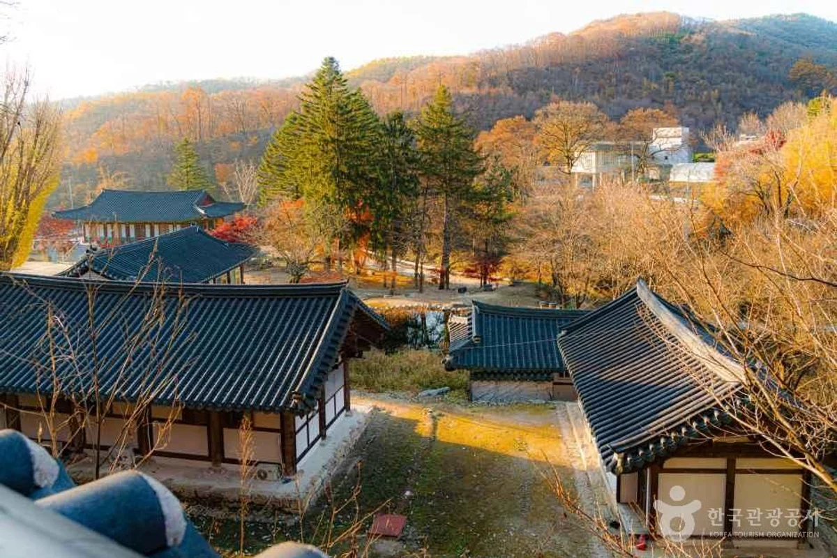 가나아트파크 - 양주시테마파크 여행