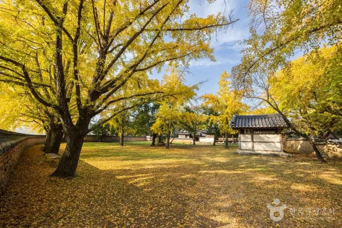 죽도 상화원 - 보령여행 여행
