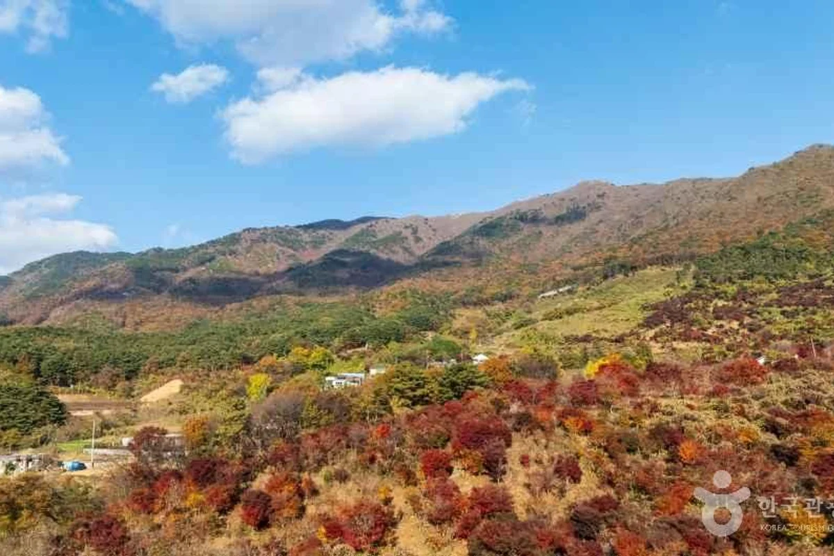 보령 1박2일 (출처 : 한국관광공사)