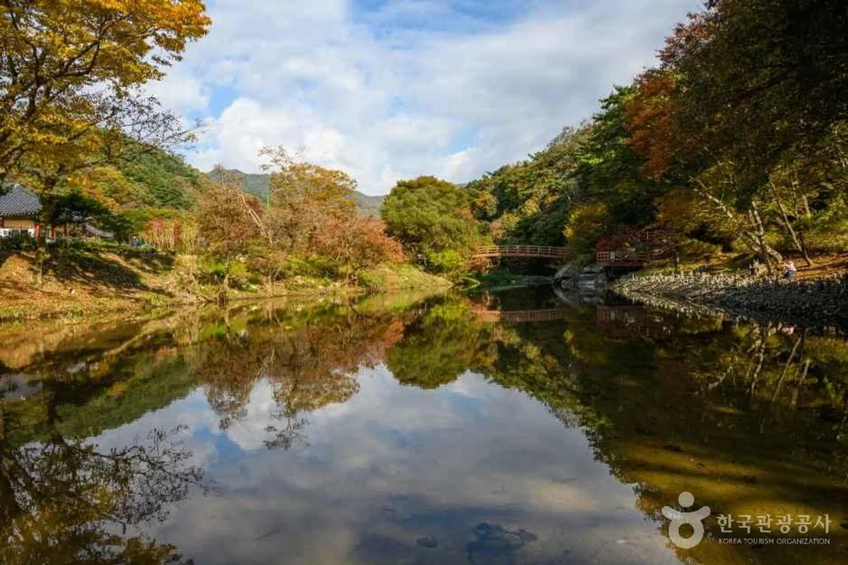 공주 식물원 (출처 : 한국관광공사)