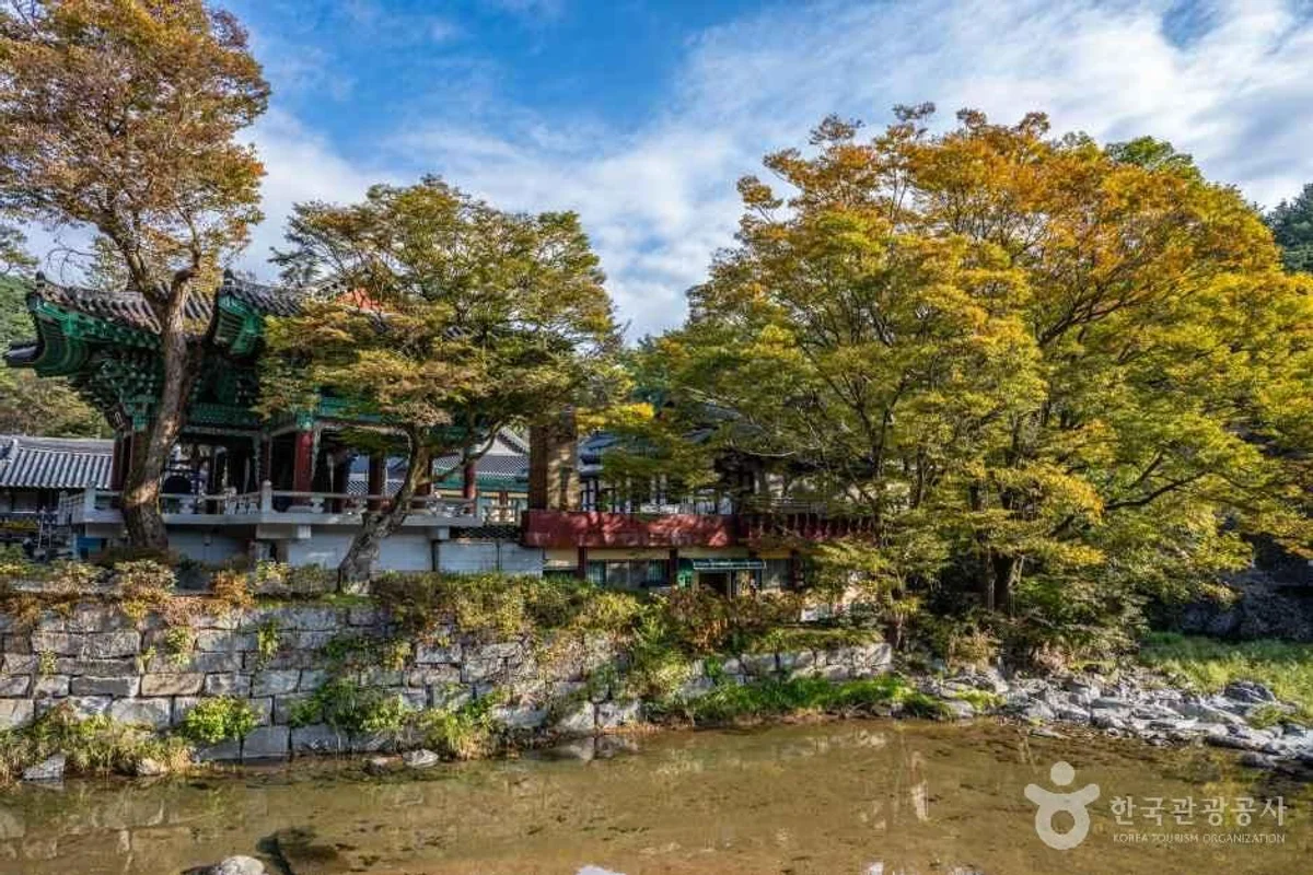 산성시장미니식물원 - 공주여행 여행