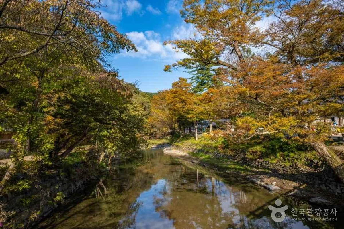 공주산림휴양마을 - 공주여행 여행