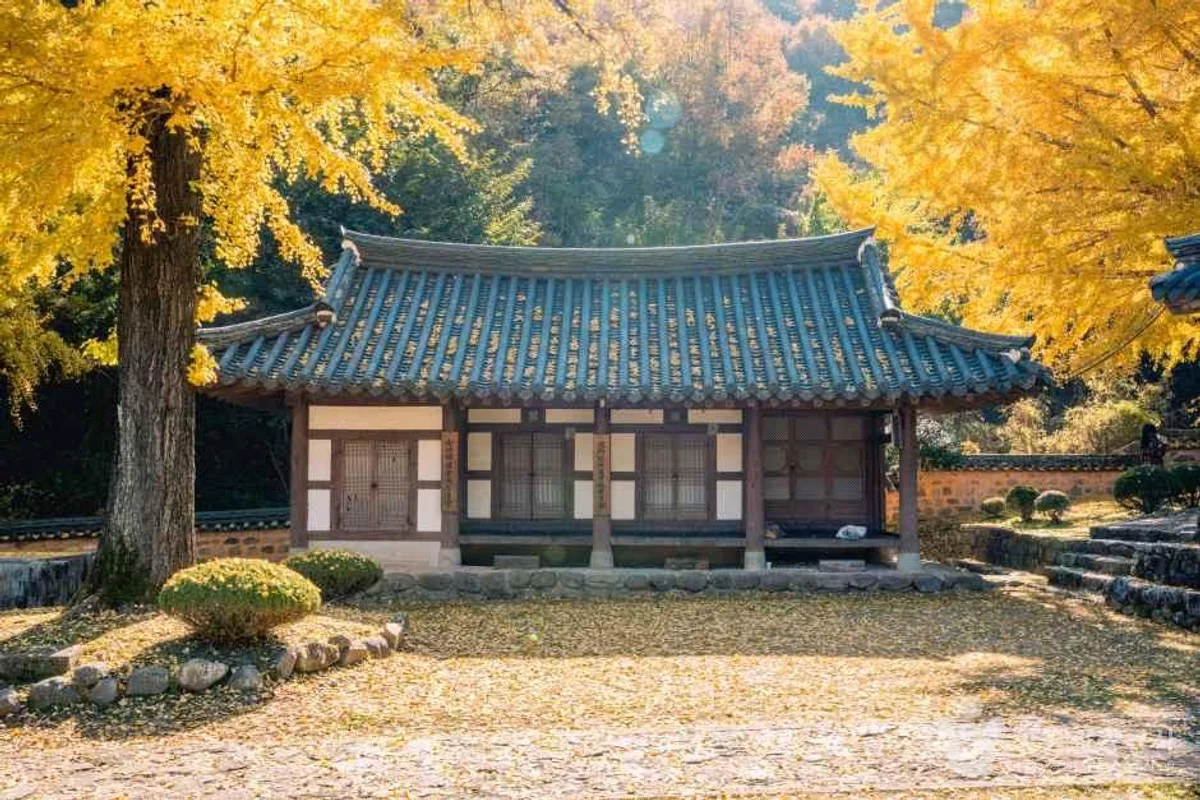 헤이리치타조농장 - 함안여행 여행