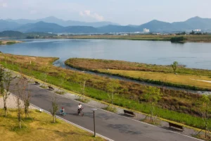 대구 숲속 피서지, 푸른 자연 속 여름 힐링 명소 BEST 6 (2026년)