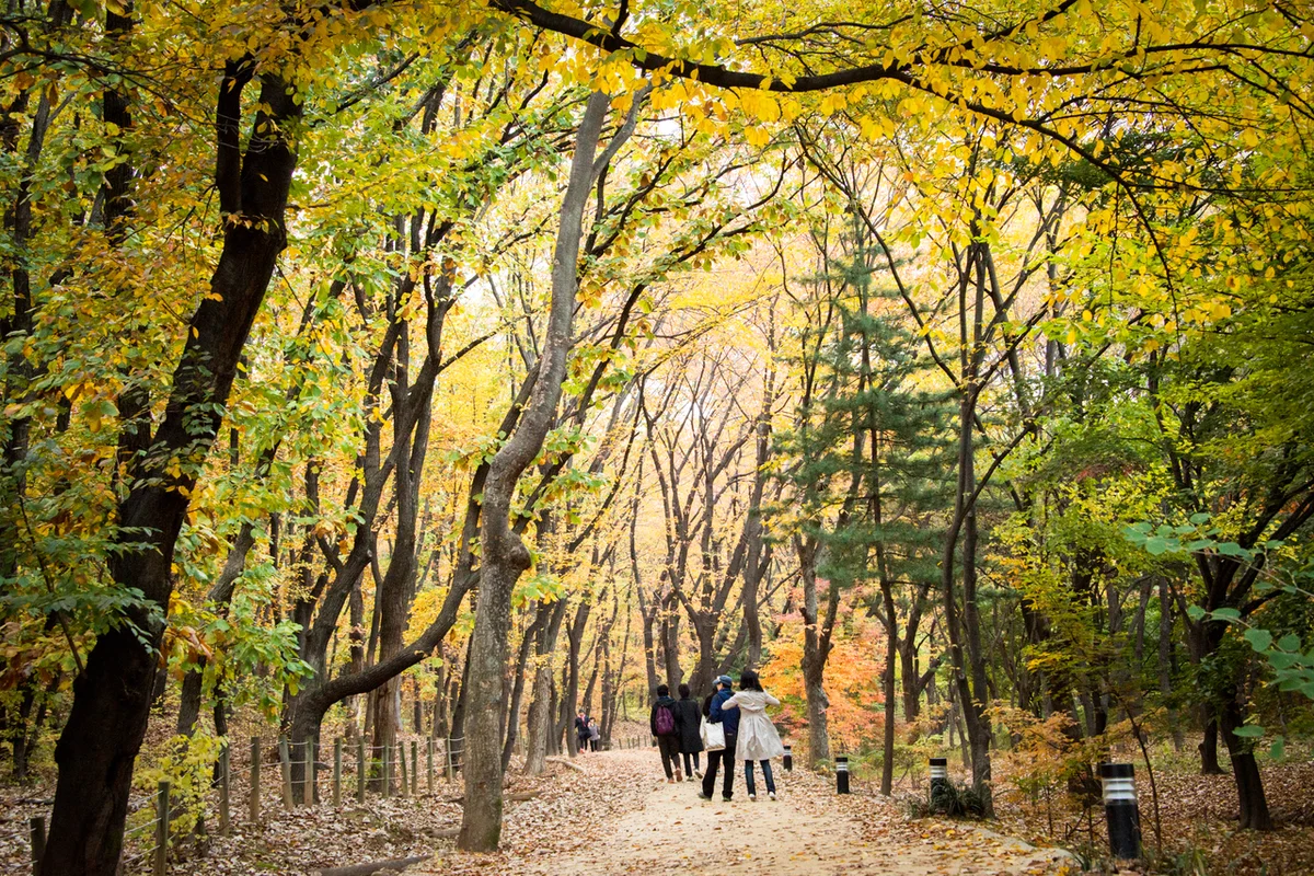 선릉 캠핑장 추천 (출처 : 한국관광공사)