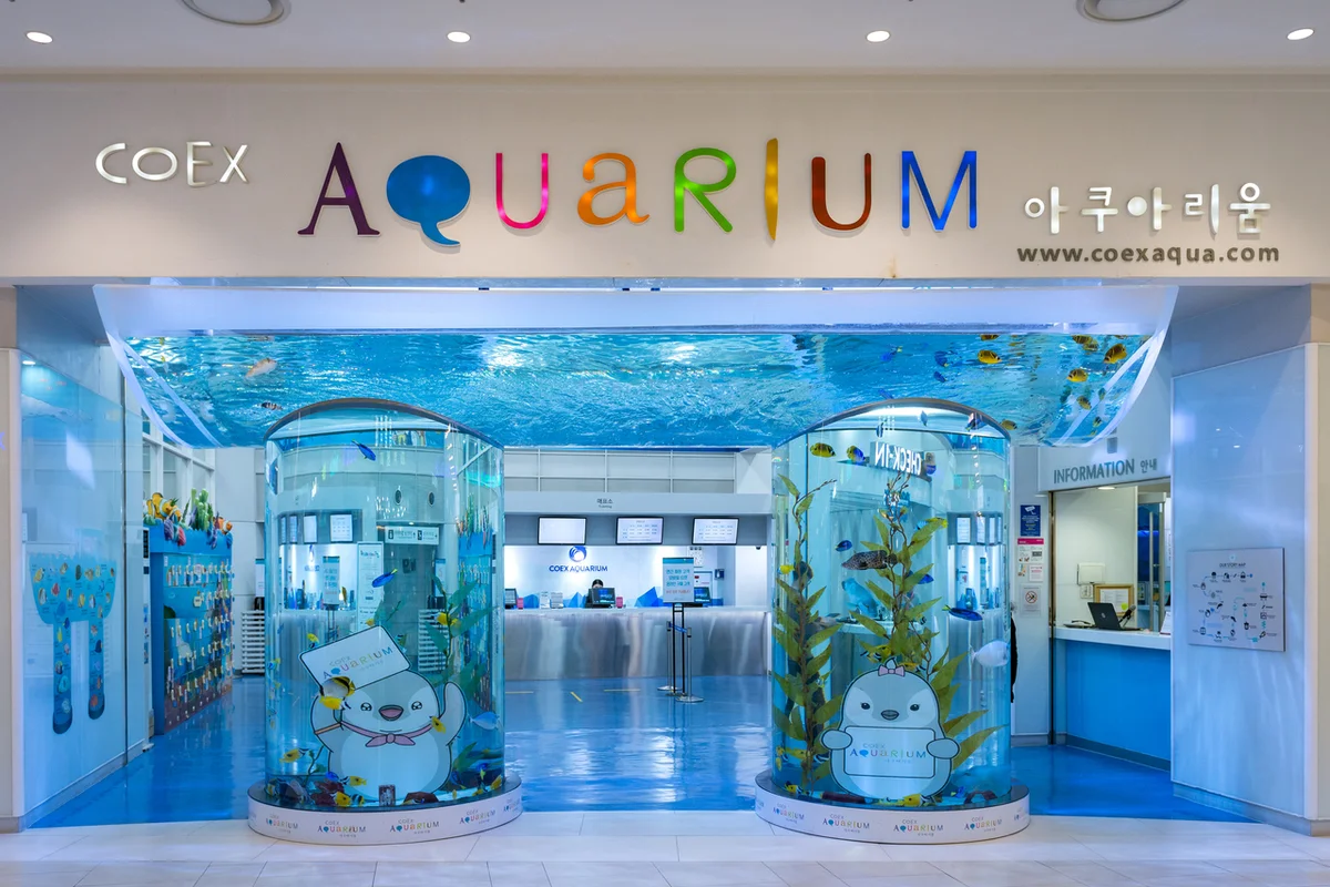 스타필드 코엑스몰 - 코엑스 윈터페스티벌 여행