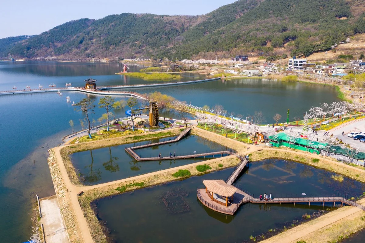송해공원 - 대구수국 여행