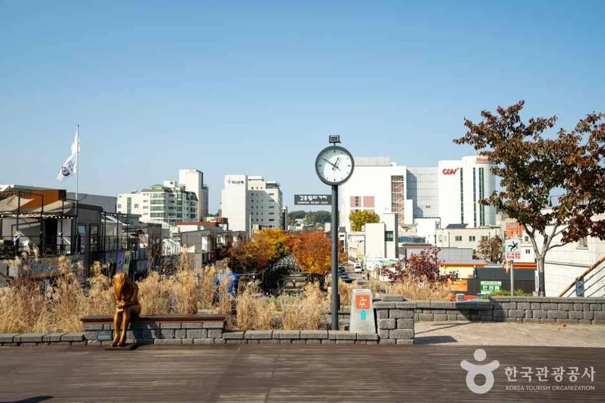가로수길 - 가로수길 여행