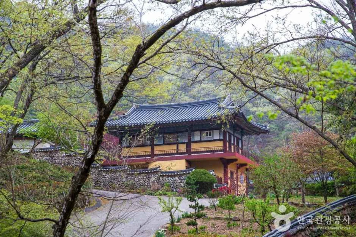 서운암 - 양산여행 여행