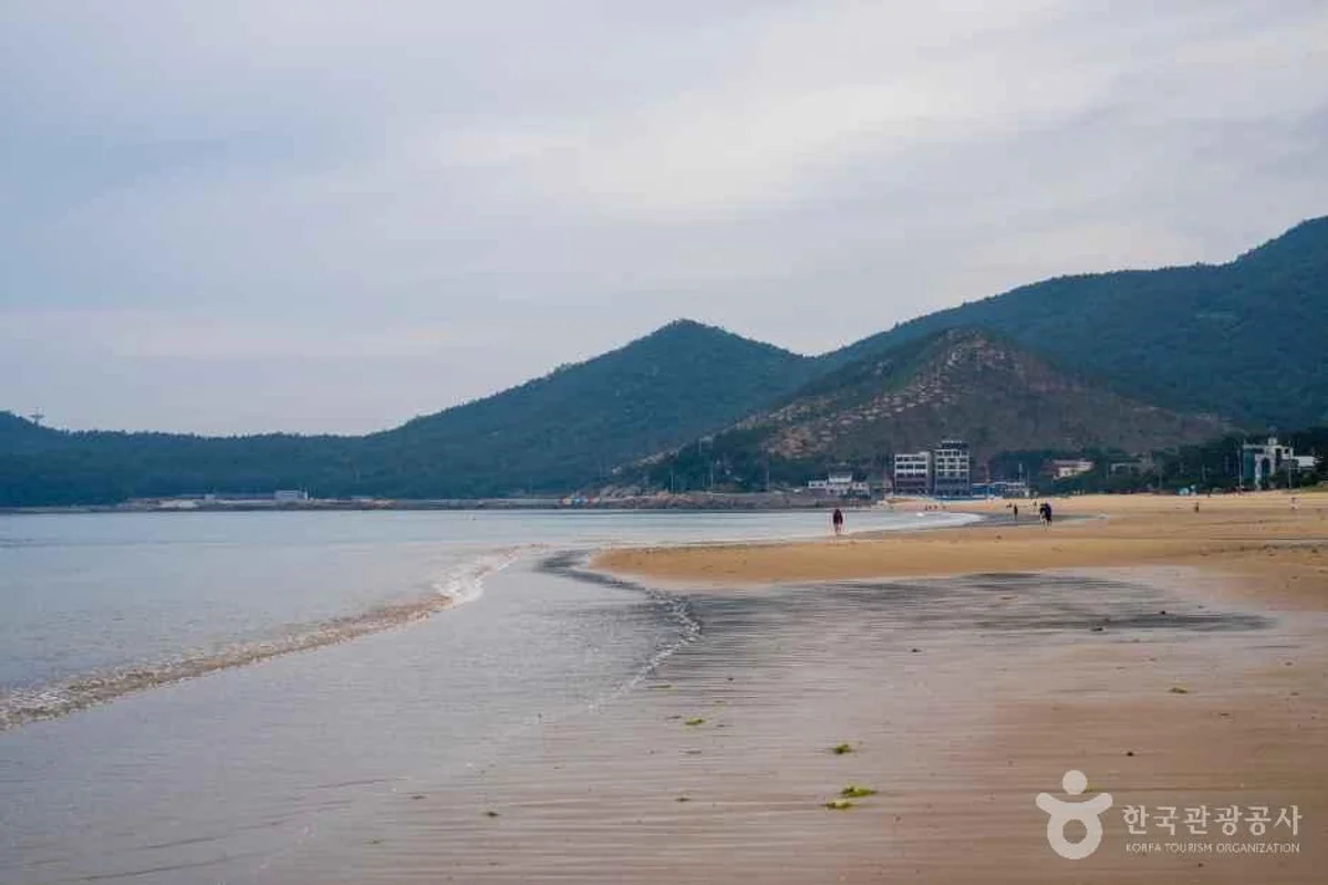 2026 남해 마늘한우축제 - 남해여행 여행