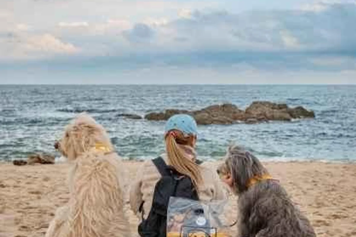 구로댕냥이네 - 구로반려견동반 여행