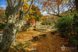 2026년 여름, 서산시 해수욕장 감성 가득한 추천 6곳
