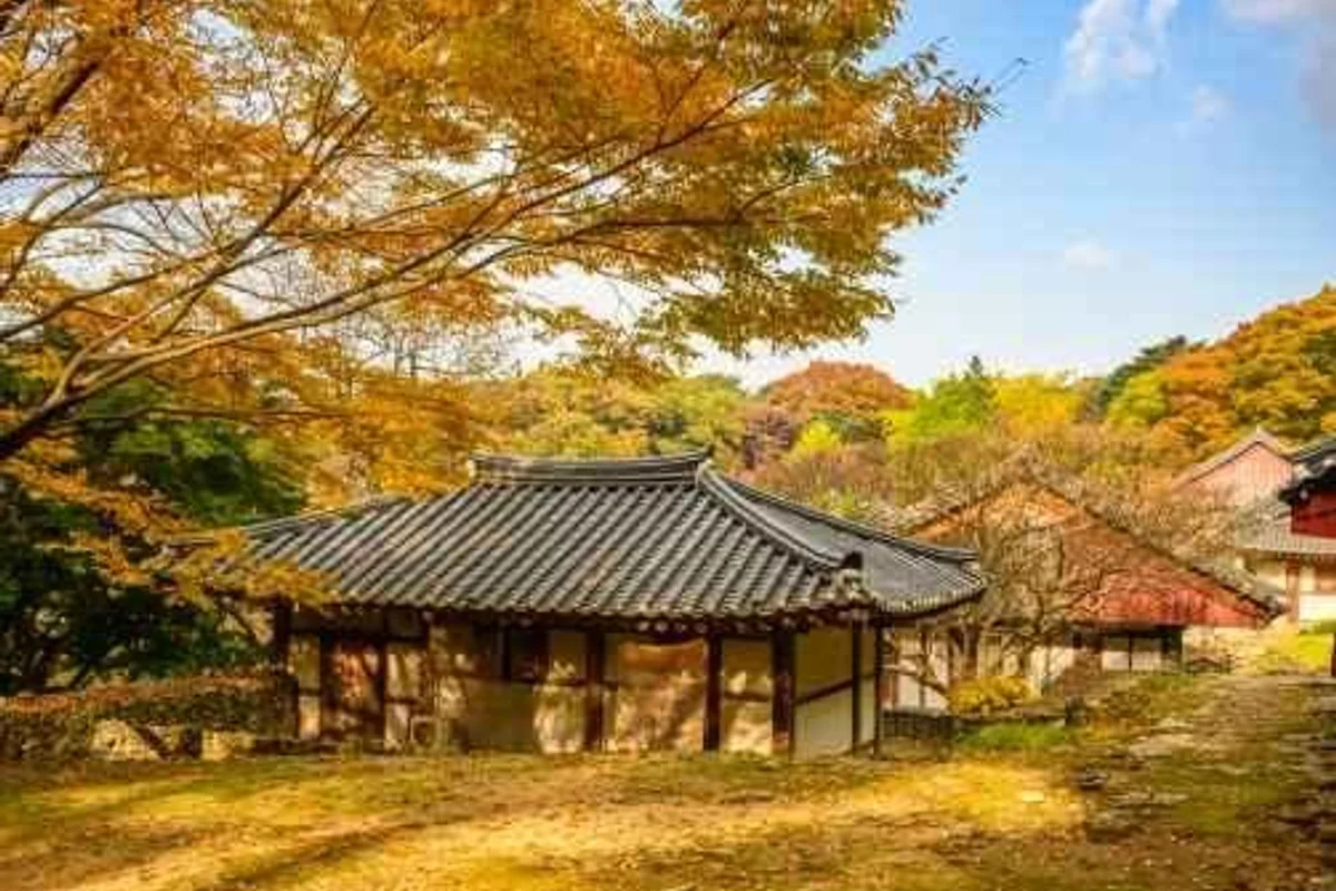 개심사 - 서산여행 여행