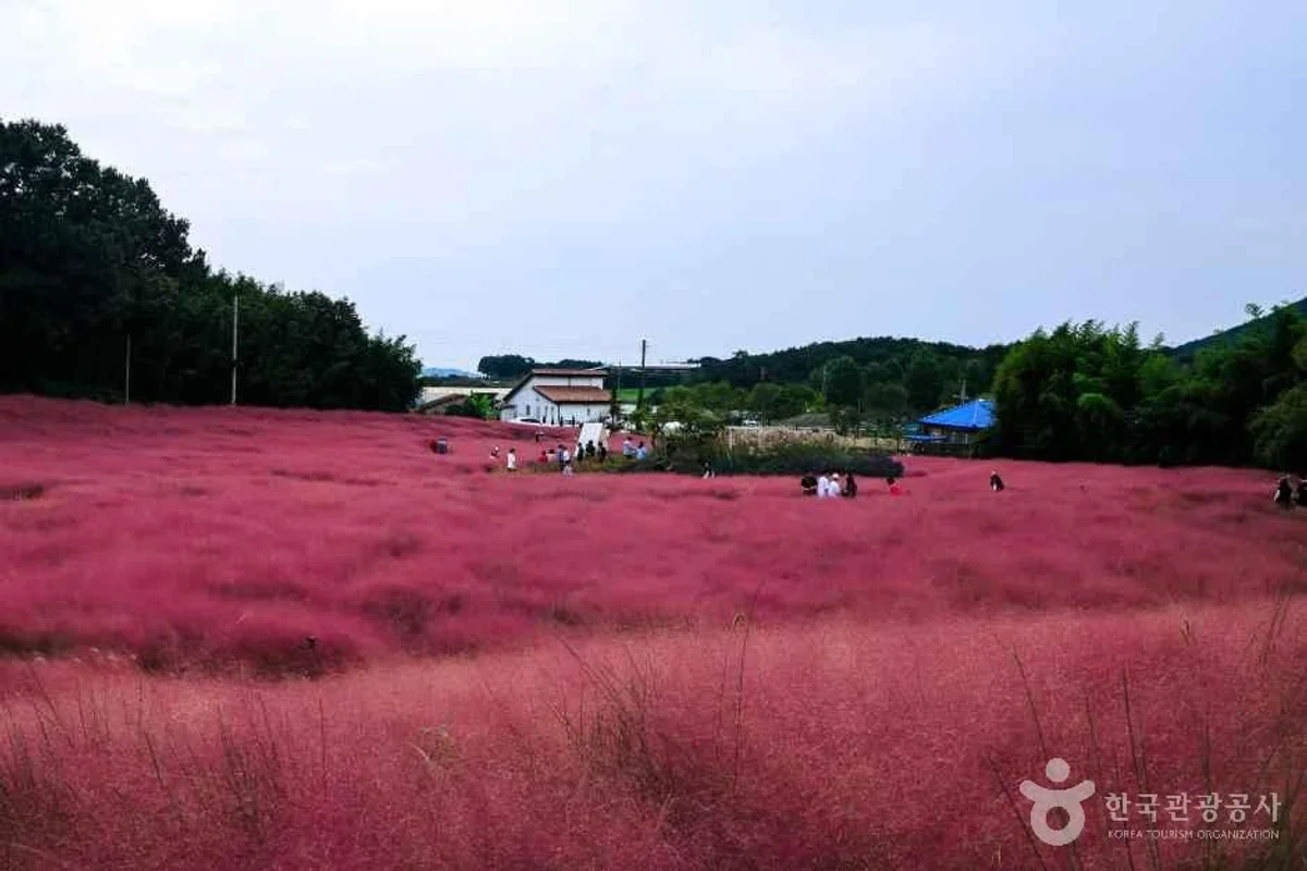 탐진강생태수질정화생태습지원 - 장흥군 여행