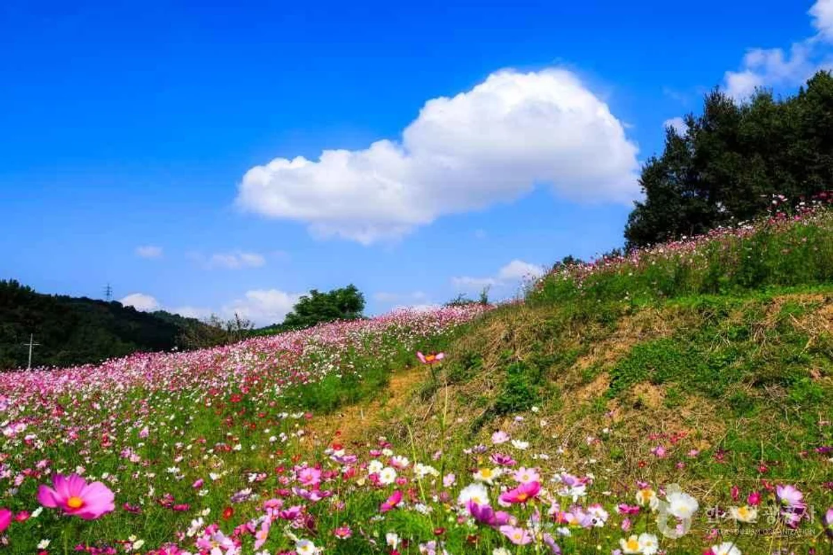 오룡산 - 무안여행 여행