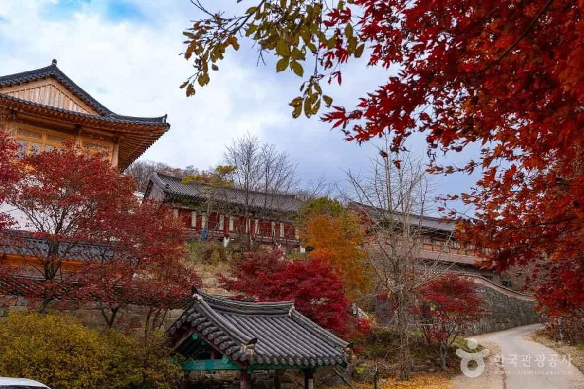무주 래프팅 (출처 : 한국관광공사)