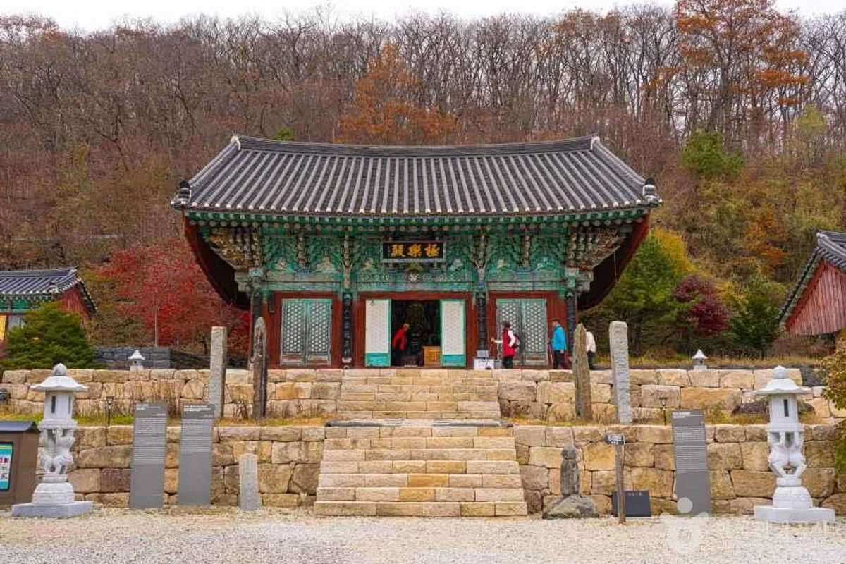 무주 래프팅의 시작, 무주스피드레저 - 무주 여행