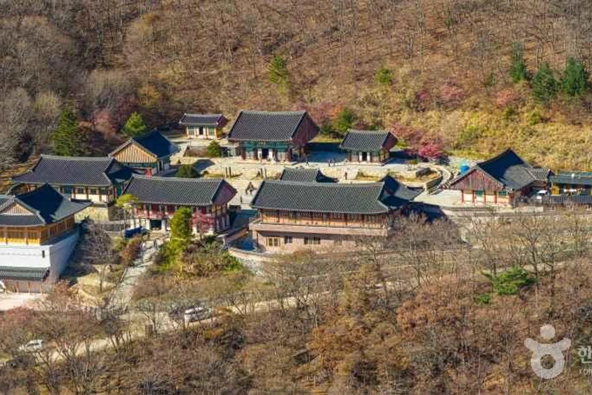 시원한 급류를 가르다, 금강래프팅 - 무주 여행