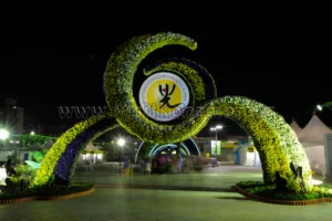 2026 광주 골프장, 여름날의 파크골프 매력 탐험 5가지