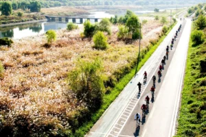 여름날의 추억, 2026 양천 단체 여행 완벽 코스 추천 5곳