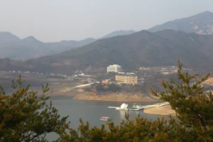 충주 공연, 2026 여름밤을 수놓을 감동의 순간 5곳