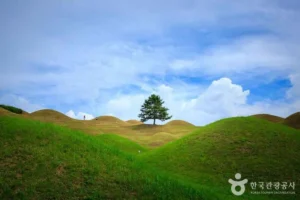 동구 산책로, 여름밤 낭만 가득한 힐링 코스 6곳 2026
