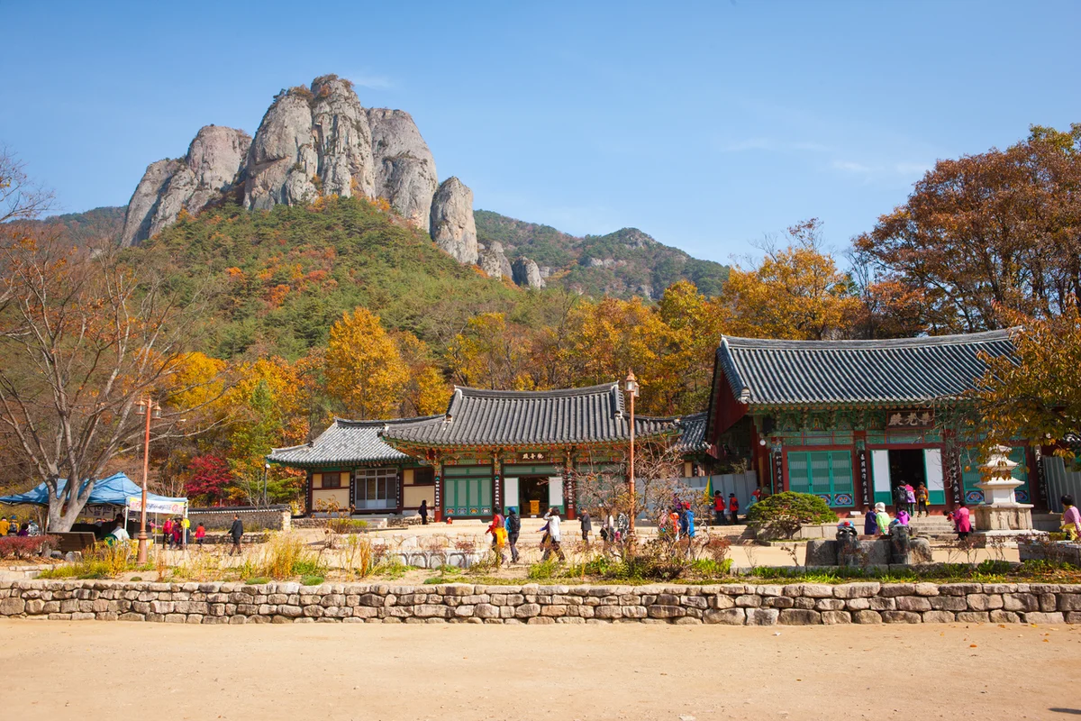 대전사 - 주왕산효도여행 여행