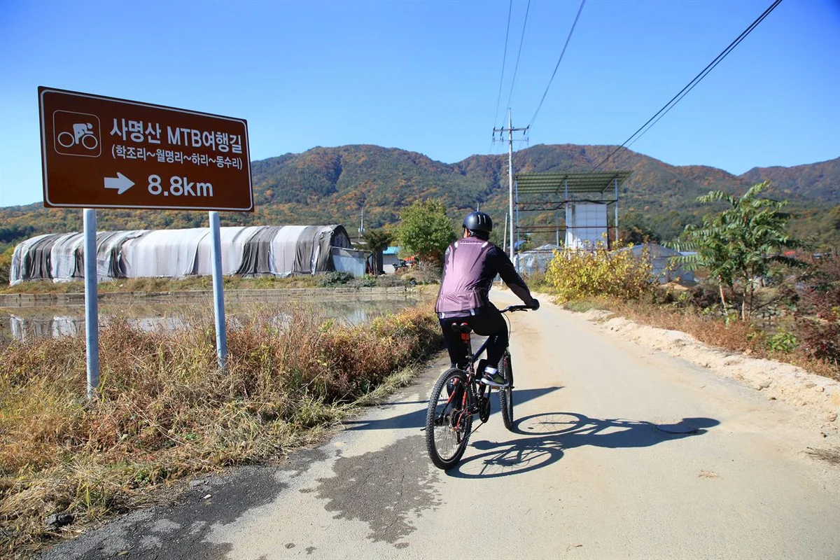 신포동 MTB (출처 : 한국관광공사)