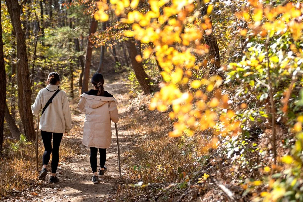 달음산 - 기장등산 여행