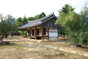 장성 가을 가볼만한곳 추천 6곳 완벽 가이드 2026